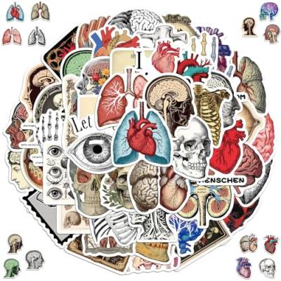Organe Aufkleber, 2 x 50 Stück Anatomie der Organe Aufkleber, Cartoon organs Anatomie Diagramm Aufklebers, Wasserdicht Vinyl Aufklebers, für Laptop Telefon Gitarre Skateboard Motorrad Fahrrad von Qxwuyazbryl